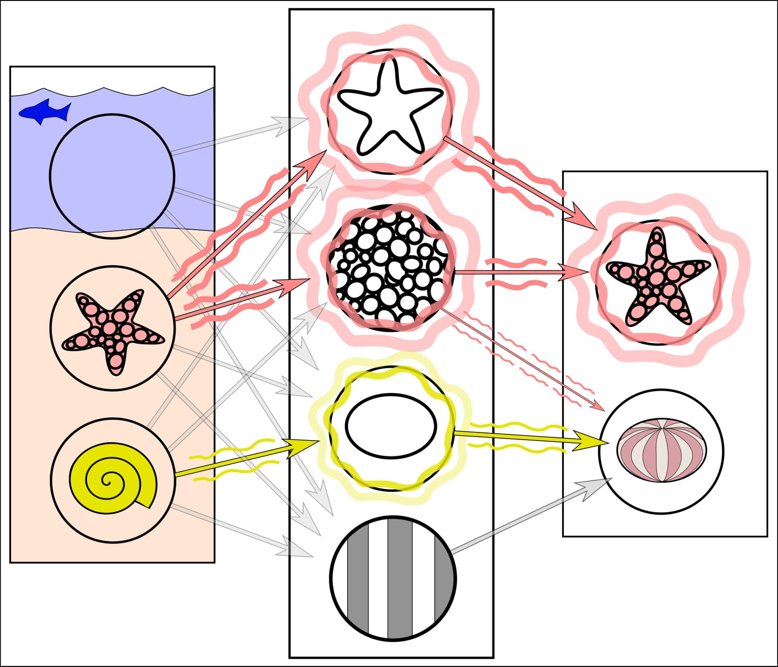 Simplified diagram of a neural network whose middle-layer units respond to features such as a star shape or a ringed texture
